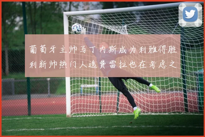 葡萄牙主帅马丁内斯成为利雅得胜利新帅热门人选费雷拉也在考虑之中